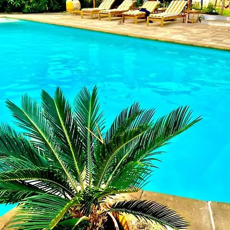 -piscine Chaude Billard Wifi- St Tropez *